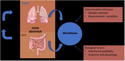 Lung microbiome: new insights into bronchiectasis’ outcome